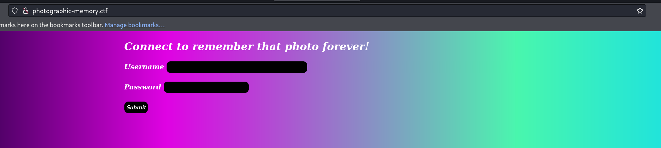 Photographic Memory panel